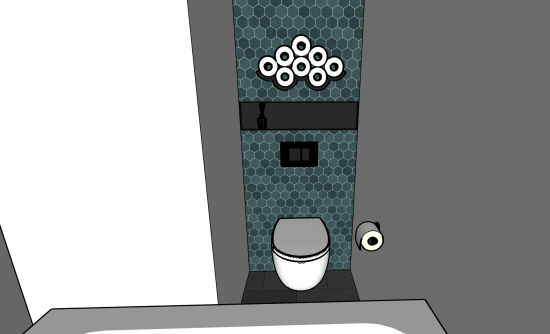 Toilettes rdc vue 2.PNG